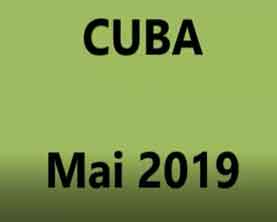 année 2019