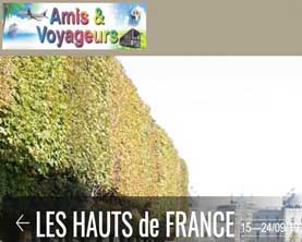année 2019
