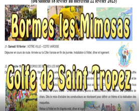 voyage Bormes les Mimosas