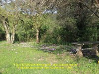 112 Visite guidée du prieuré de CHARRIÈRE à CHATEAUNEUF DE GALAURE  (26)
