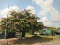 le 06-12 IMG_5150