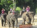 le 07-12 IMG_5174