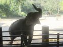 le 07-12 IMG_5177