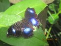 le 07-12 IMG_5199
