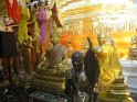 le 08-12 IMG_5247