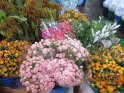 le 09-12 IMG_5280
