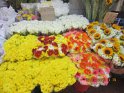 le 09-12 IMG_5287